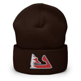 Bahrain Circuit with Flag F1 Embroidered Cuffed Beanie