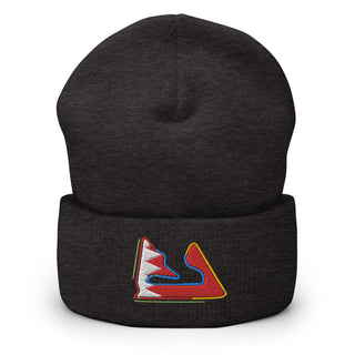 Bahrain Circuit Sectors with DRS Zones and Flag F1 Embroidered Cuffed Beanie