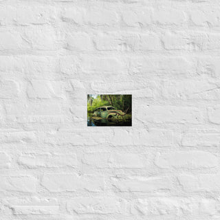 Abandoned Classic Sedan in the Bayou Poster